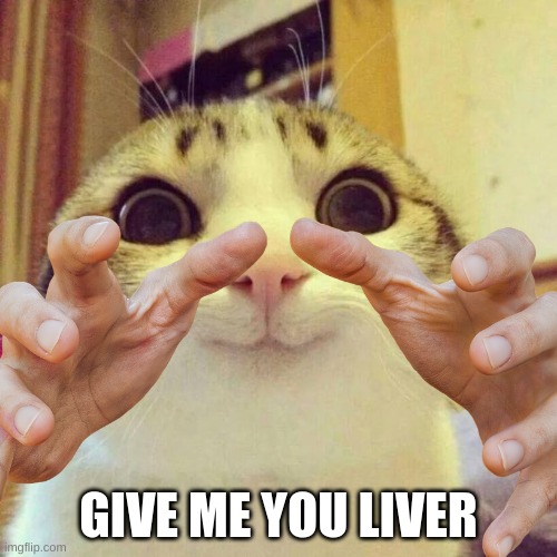 cat | GIVE ME YOU LIVER | image tagged in liver | made w/ Imgflip meme maker