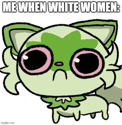 white women are scary | ME WHEN WHITE WOMEN: | image tagged in weed cat | made w/ Imgflip meme maker
