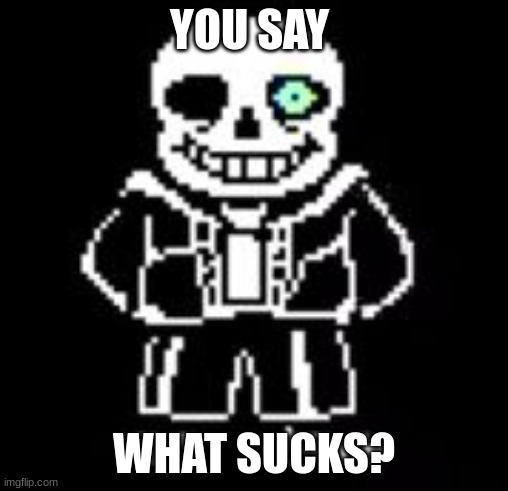 Sans Bad Time | YOU SAY WHAT SUCKS? | image tagged in sans bad time | made w/ Imgflip meme maker