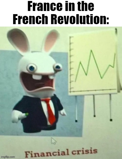 last post before my test | France in the French Revolution: | image tagged in financial crisis | made w/ Imgflip meme maker