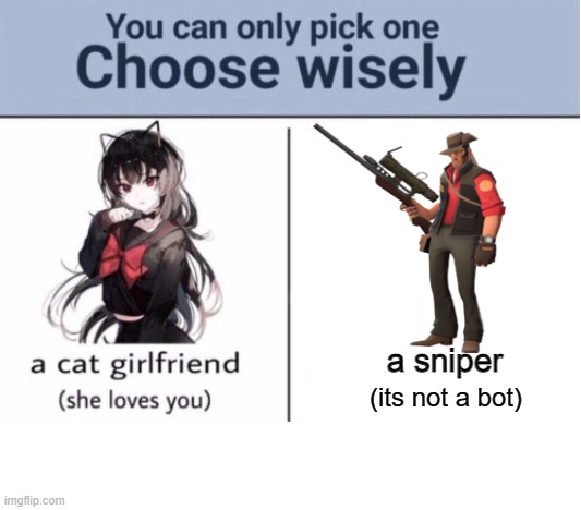 choose wisely | a sniper; (its not a bot) | image tagged in choose wisely | made w/ Imgflip meme maker