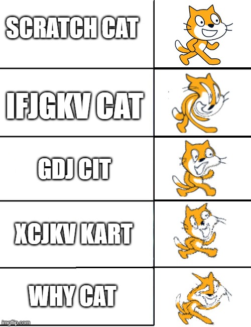 scratch cat types | SCRATCH CAT; IFJGKV CAT; GDJ CIT; XCJKV KART; WHY CAT | image tagged in scratch cat whirl | made w/ Imgflip meme maker