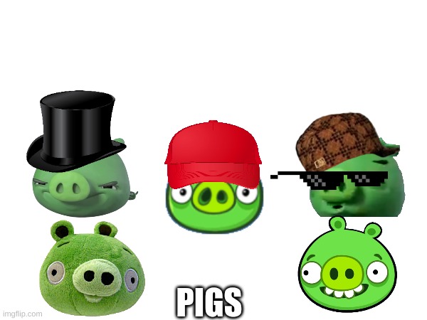 pig | PIGS | image tagged in bad piggies | made w/ Imgflip meme maker