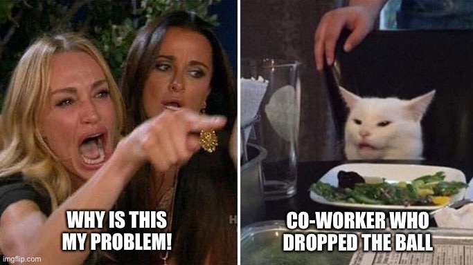 There’s always that one person | WHY IS THIS MY PROBLEM! CO-WORKER WHO DROPPED THE BALL | image tagged in angry lady cat,lazy,coworker | made w/ Imgflip meme maker