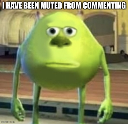 for 24 hours | I HAVE BEEN MUTED FROM COMMENTING | image tagged in mike wazowski face swap | made w/ Imgflip meme maker
