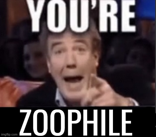 You’re underage user | ZOOPHILE | image tagged in you re underage user | made w/ Imgflip meme maker