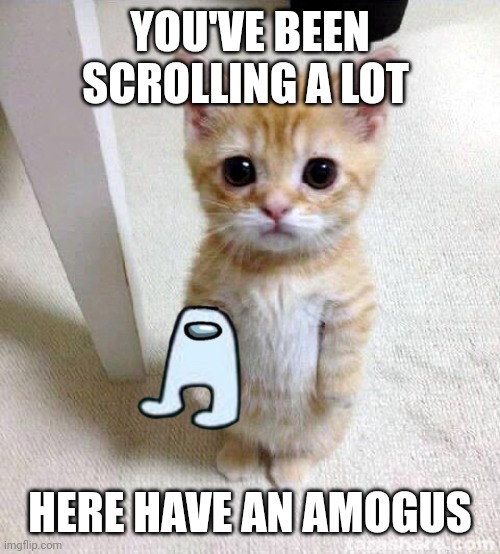 Amogus sussy-baka | YOU'VE BEEN SCROLLING A LOT; HERE HAVE AN AMOGUS | image tagged in memes,cute cat,amogus,amogus sussy | made w/ Imgflip meme maker