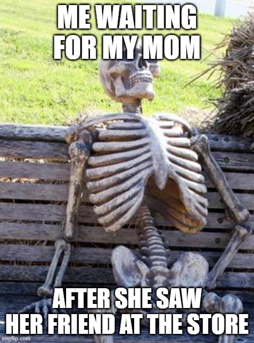 bru | ME WAITING FOR MY MOM; AFTER SHE SAW HER FRIEND AT THE STORE | image tagged in memes,waiting skeleton | made w/ Imgflip meme maker