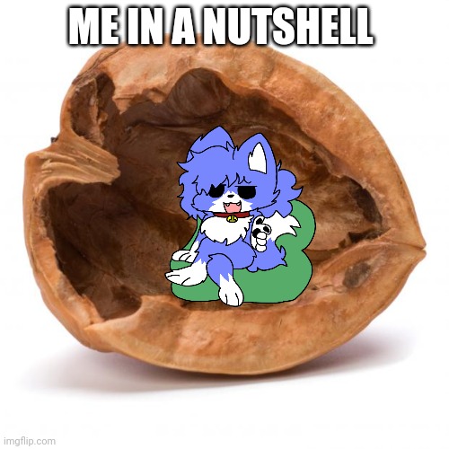 Nutshell | ME IN A NUTSHELL | image tagged in nutshell | made w/ Imgflip meme maker