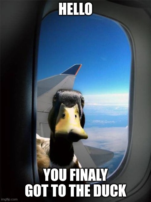 duck | HELLO; YOU FINALY GOT TO THE DUCK | image tagged in let me in duck,good job | made w/ Imgflip meme maker