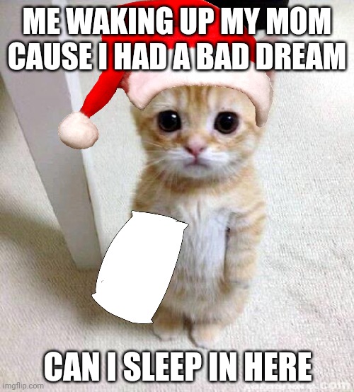 I did this before lol | ME WAKING UP MY MOM CAUSE I HAD A BAD DREAM; CAN I SLEEP IN HERE | image tagged in memes,cute cat,relatable memes,front page,iceu | made w/ Imgflip meme maker