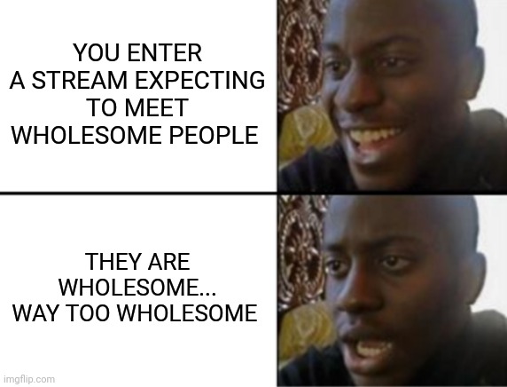 Oh... | YOU ENTER A STREAM EXPECTING TO MEET WHOLESOME PEOPLE; THEY ARE WHOLESOME... WAY TOO WHOLESOME | image tagged in oh yeah oh no | made w/ Imgflip meme maker