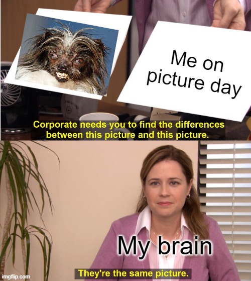 School Picture Day | Me on picture day; My brain | image tagged in memes,they're the same picture | made w/ Imgflip meme maker