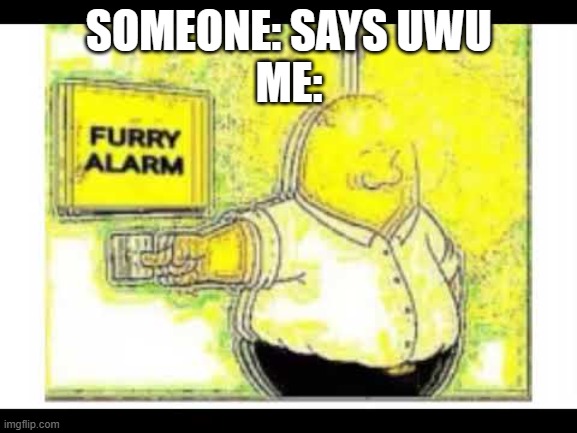 Furry alarm | SOMEONE: SAYS UWU
ME: | image tagged in furry alarm | made w/ Imgflip meme maker