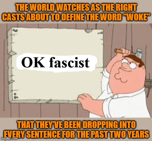 I looked it up - sounds mostly right. | THE WORLD WATCHES AS THE RIGHT CASTS ABOUT TO DEFINE THE WORD "WOKE"; OK fascist; THAT THEY'VE BEEN DROPPING INTO EVERY SENTENCE FOR THE PAST TWO YEARS | image tagged in ok boomer,memes,politics | made w/ Imgflip meme maker