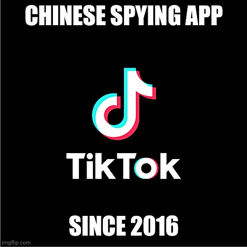 Chinese spying app | CHINESE SPYING APP; SINCE 2016 | image tagged in tiktok logo | made w/ Imgflip meme maker