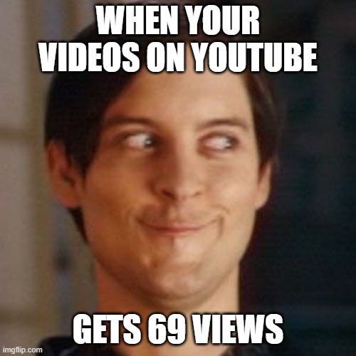 Tobey Maguire silly | WHEN YOUR VIDEOS ON YOUTUBE; GETS 69 VIEWS | image tagged in tobey maguire silly | made w/ Imgflip meme maker