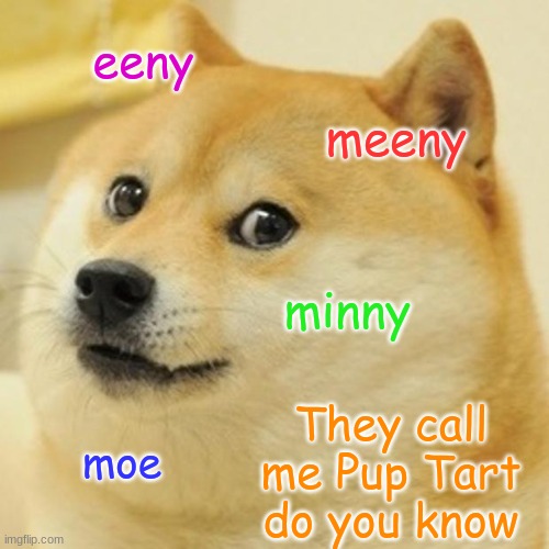 Doge Meme | eeny; meeny; minny; They call me Pup Tart do you know; moe | image tagged in memes,doge | made w/ Imgflip meme maker