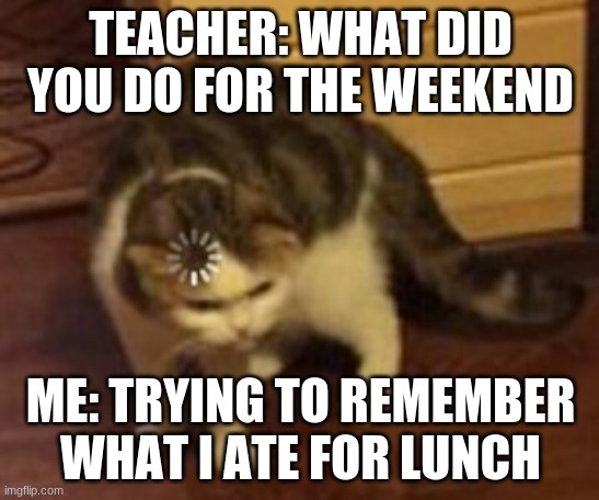 It always happens |  TEACHER: WHAT DID YOU DO FOR THE WEEKEND; ME: TRYING TO REMEMBER WHAT I ATE FOR LUNCH | image tagged in loading cat | made w/ Imgflip meme maker