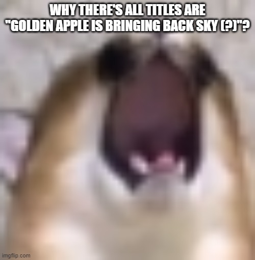 MY BALS!!! | WHY THERE'S ALL TITLES ARE "GOLDEN APPLE IS BRINGING BACK SKY (?)"? | image tagged in my bals | made w/ Imgflip meme maker