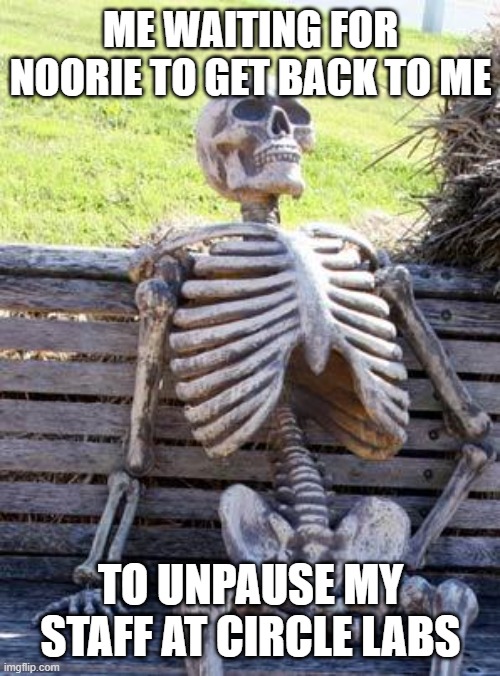 I mean she better not let para do all the work alone? | ME WAITING FOR NOORIE TO GET BACK TO ME; TO UNPAUSE MY STAFF AT CIRCLE LABS | image tagged in memes,waiting skeleton | made w/ Imgflip meme maker