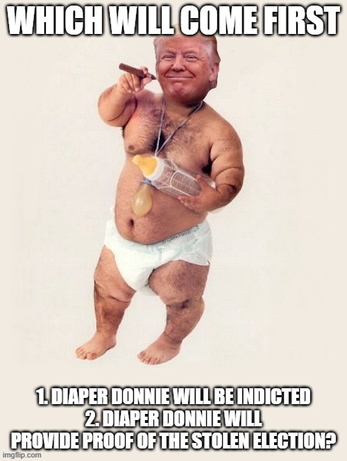 Grifter, liar, | WHICH WILL COME FIRST; 1. DIAPER DONNIE WILL BE INDICTED
2. DIAPER DONNIE WILL PROVIDE PROOF OF THE STOLEN ELECTION? | image tagged in diaper donnie,no proof | made w/ Imgflip meme maker
