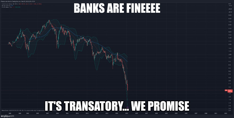 credit suisse | BANKS ARE FINEEEE; IT'S TRANSATORY... WE PROMISE | image tagged in bitcoin,credit suisse,banks | made w/ Imgflip meme maker