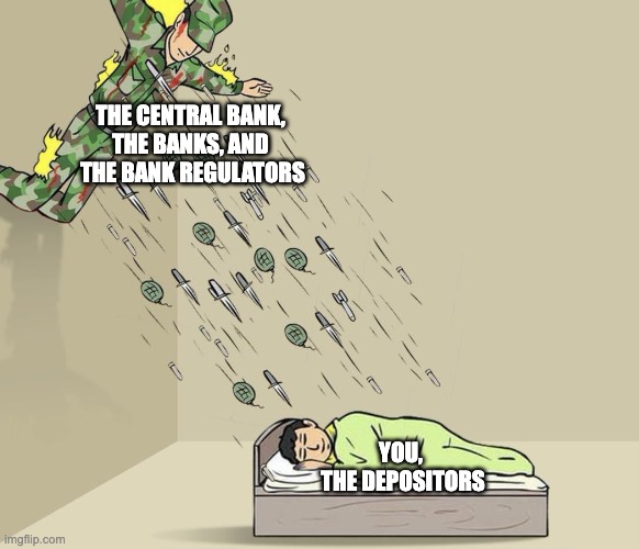 reverse silent protector | THE CENTRAL BANK, 
THE BANKS, AND 
THE BANK REGULATORS; YOU, 
THE DEPOSITORS | image tagged in reverse silent protector | made w/ Imgflip meme maker