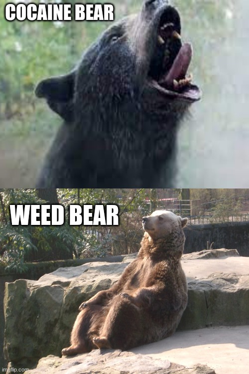 COCAINE BEAR; WEED BEAR | made w/ Imgflip meme maker