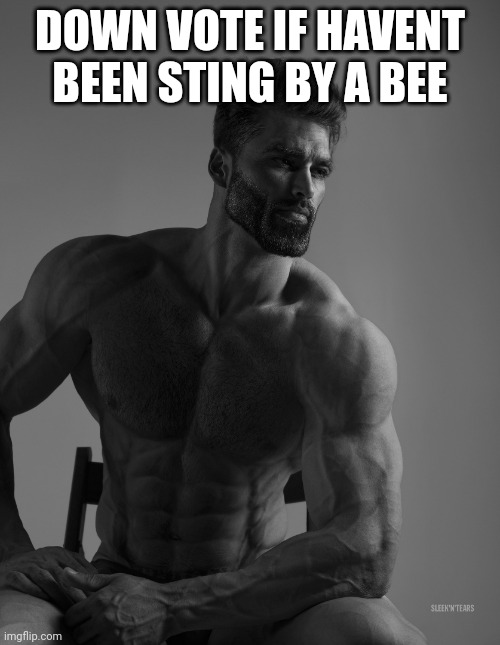 I am now an down vote begger. | DOWN VOTE IF HAVENT BEEN STING BY A BEE | image tagged in giga chad,fun | made w/ Imgflip meme maker