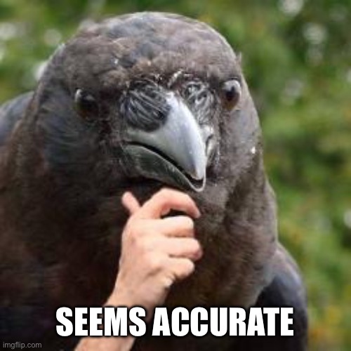 Seems Accurate | SEEMS ACCURATE | image tagged in seems accurate | made w/ Imgflip meme maker