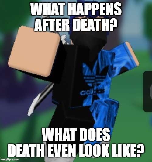 MR BEEEEEAAAAAA | WHAT HAPPENS AFTER DEATH? WHAT DOES DEATH EVEN LOOK LIKE? | image tagged in mr beeeeeaaaaaa | made w/ Imgflip meme maker
