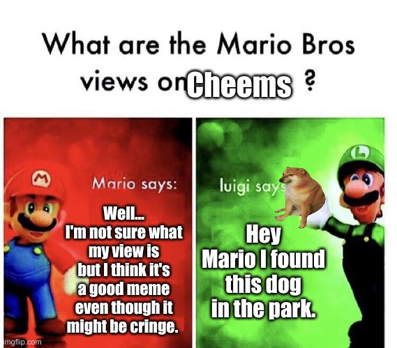 Mario Bros and Cheems. | Cheems; Well... I'm not sure what my view is but I think it's a good meme even though it might be cringe. Hey Mario I found this dog in the park. | image tagged in mario bros views | made w/ Imgflip meme maker