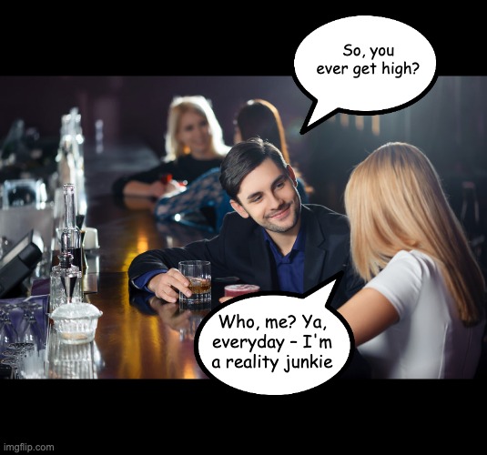 Reality junkie | So, you ever get high? Who, me? Ya, everyday – I'm a reality junkie | image tagged in autohoax,mating at a bar,flirting couple | made w/ Imgflip meme maker