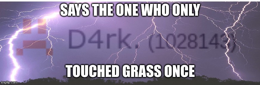 tomfoolery | SAYS THE ONE WHO ONLY; TOUCHED GRASS ONCE | made w/ Imgflip meme maker