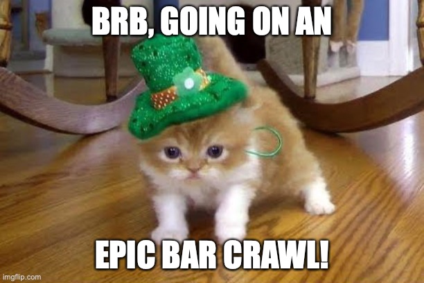 Guinness best paired with a Friskies Corned Beef & Cabbage can. | BRB, GOING ON AN; EPIC BAR CRAWL! | image tagged in st paddy's kitten | made w/ Imgflip meme maker