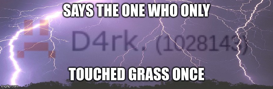 Says the one who never touched grass Blank Meme Template