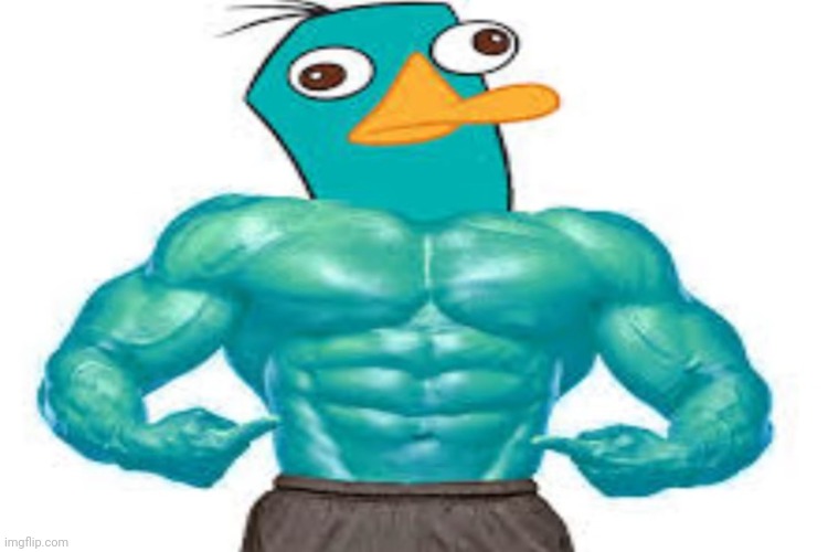 a buff platypus? PERRY THE BUFF PLATYPUS?!?! | made w/ Imgflip meme maker