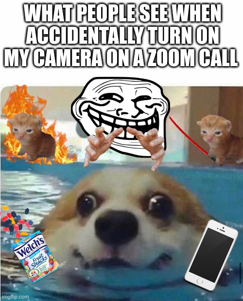 Wonderful | WHAT PEOPLE SEE WHEN ACCIDENTALLY TURN ON MY CAMERA ON A ZOOM CALL | image tagged in doggo swim,funny | made w/ Imgflip meme maker