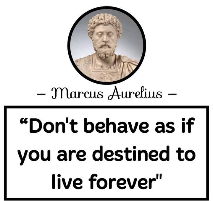 High Quality Marcus Aurelius quote Blank Meme Template