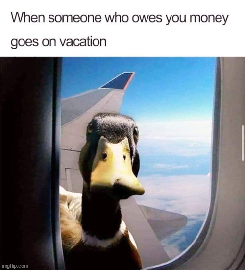 Don't you just love this when it happens? | image tagged in memes,owling you money | made w/ Imgflip meme maker