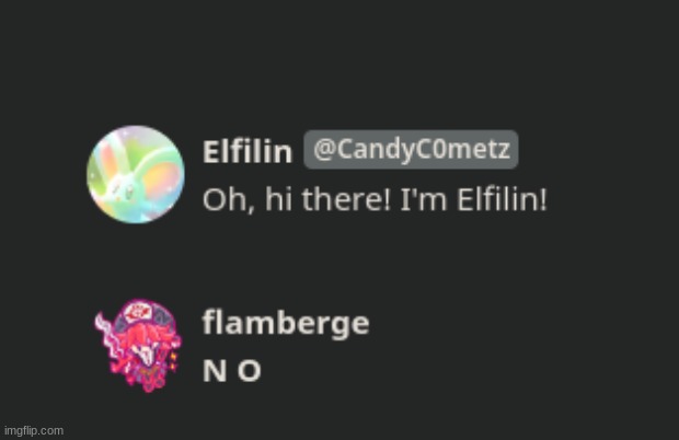 just a nice conversation between elfilin and flamberge | image tagged in lol | made w/ Imgflip meme maker