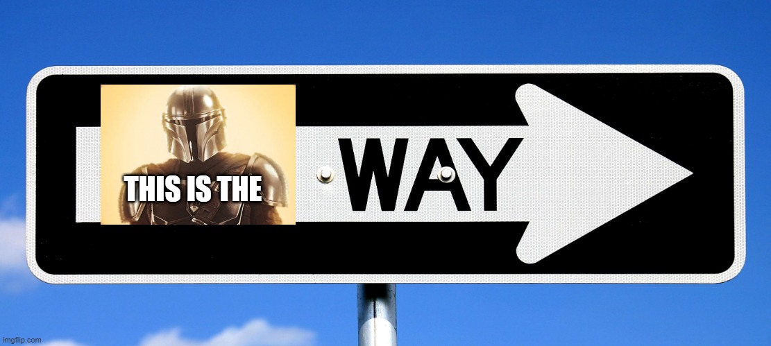 New Street Sign | THIS IS THE | image tagged in one way | made w/ Imgflip meme maker