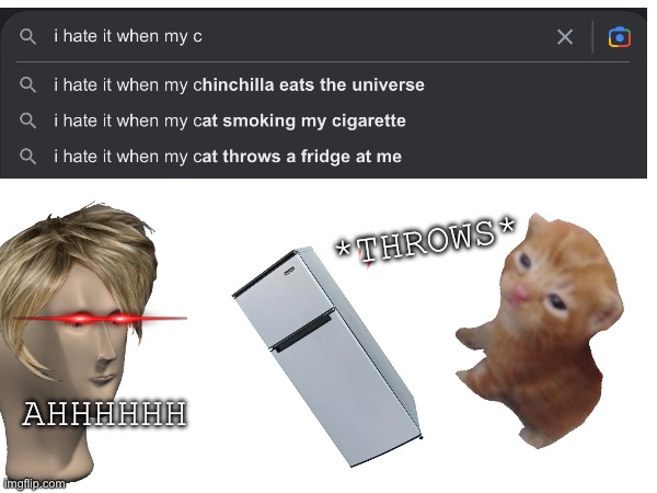 I hate it when my cat throws a fidge at me??? | *THROWS*; AHHHHHH | image tagged in google | made w/ Imgflip meme maker