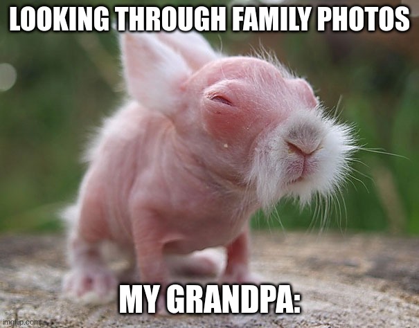 POV: you look in the family photos | LOOKING THROUGH FAMILY PHOTOS; MY GRANDPA: | image tagged in family,funny | made w/ Imgflip meme maker