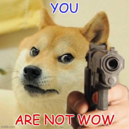 NO WOW (this is a joke) | YOU; ARE NOT WOW | image tagged in doge holding a gun,not wow | made w/ Imgflip meme maker