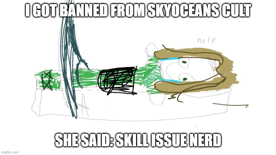 I GOT BANNED FROM SKYOCEANS CULT; SHE SAID: SKILL ISSUE NERD | image tagged in lloyd in the femr breaker badly drawn | made w/ Imgflip meme maker