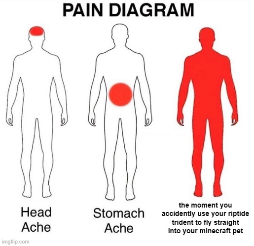 #FlyHighBwomperTheBee <3 "F" in chat T-T | the moment you accidently use your riptide trident to fly straight into your minecraft pet | image tagged in pain diagram | made w/ Imgflip meme maker