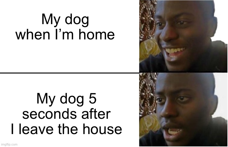 My Dog When I Leave The House | My dog when I’m home; My dog 5 seconds after I leave the house | image tagged in disappointed black guy,dogs,happy,sad,not home | made w/ Imgflip meme maker
