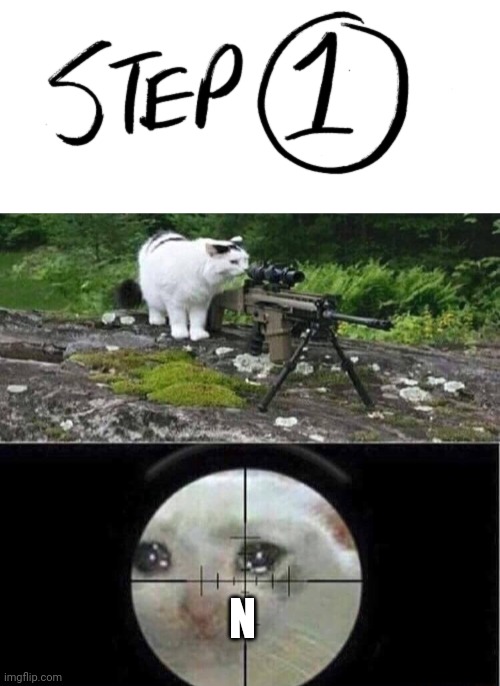 N | image tagged in step 1,sniper cat | made w/ Imgflip meme maker